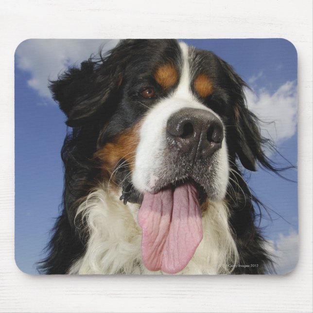 Dog, close-up mouse pad (Front)