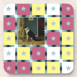 Dog Coaster