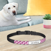 Dog Collar