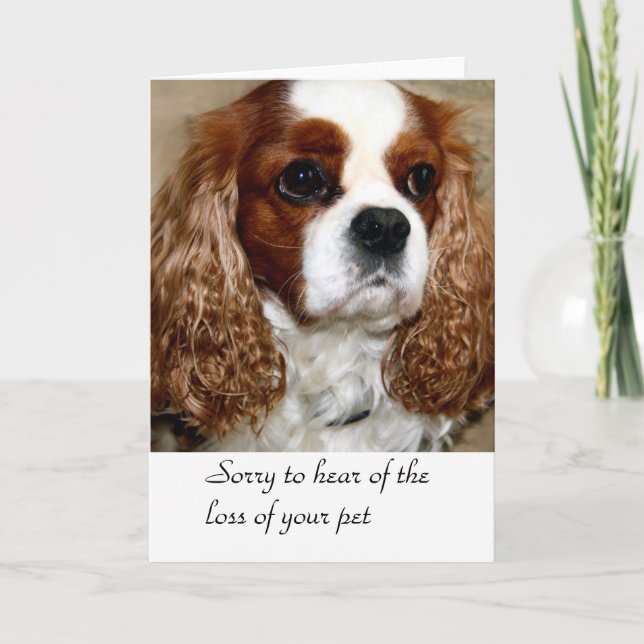 Dog Condolence Card (Front)