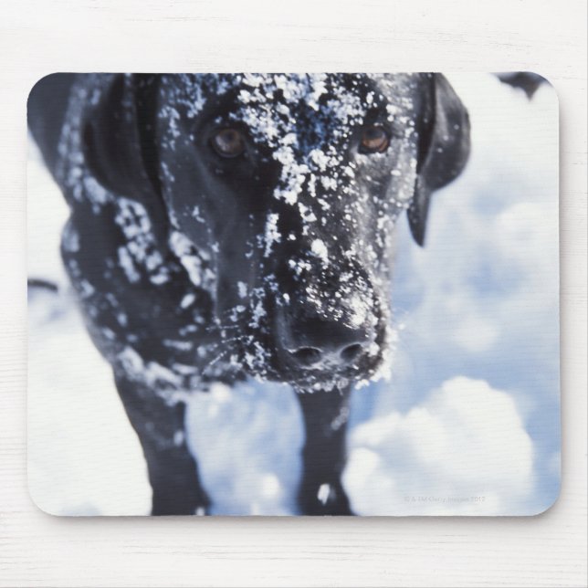 Dog covered in snow mouse pad (Front)