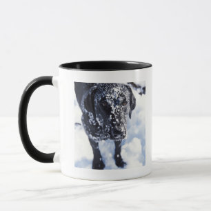 Dog covered in snow mug