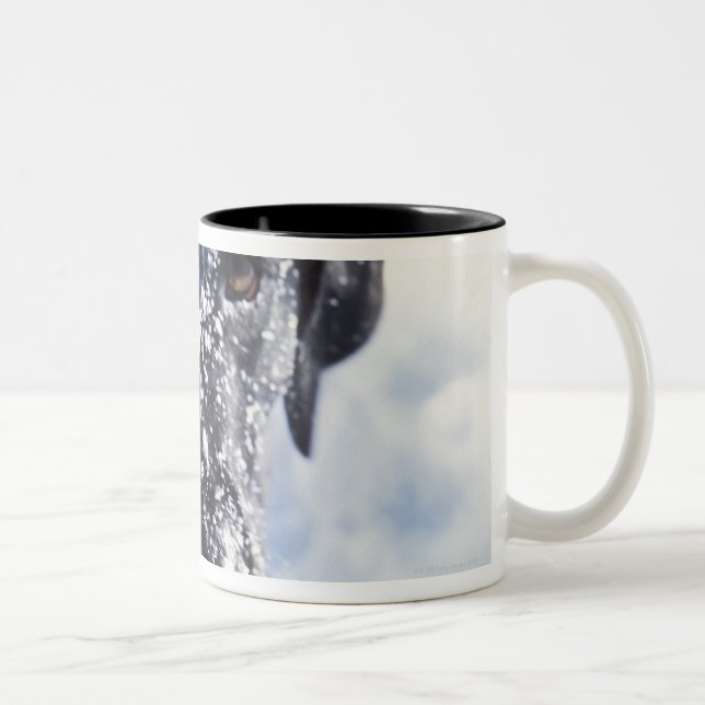Dog covered in snow Two-Tone coffee mug (Right)