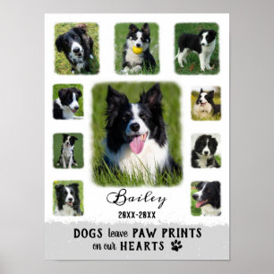 Dog Custom Photo Collage Faded Borders White Grey Poster