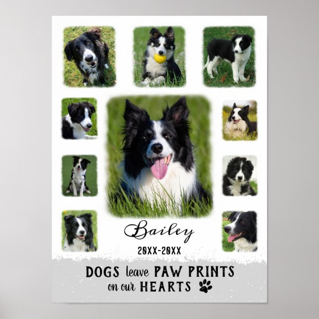 Dog Custom Photo Collage Faded Borders White Grey Poster (Front)