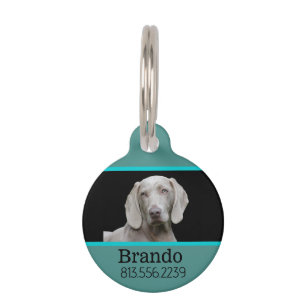 Dog Custom Photo Pet Tag