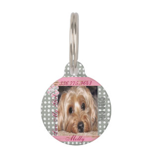 Dog Custom Photo Polka Dots Pet ID Tag