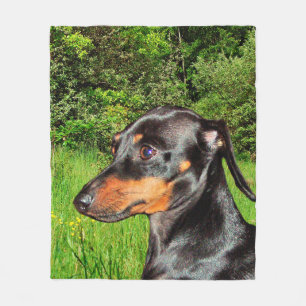 Dog Dachshund Doxie Fleece Blanket