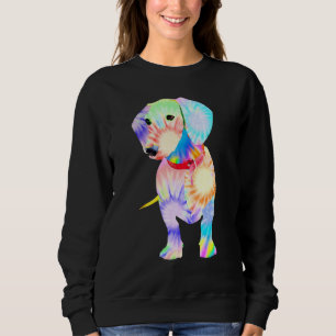 Dog   Dachshund For Womens Colourful Wiener Dog Me Sweatshirt