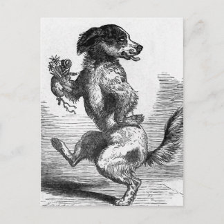 "Dog Dancing a Jig" Vintage Illustration Postcard