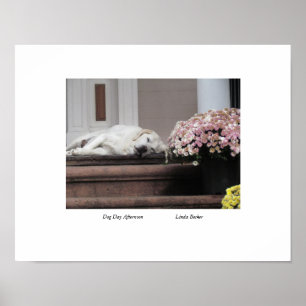Dog Day Afternoon by Linda Becker Poster