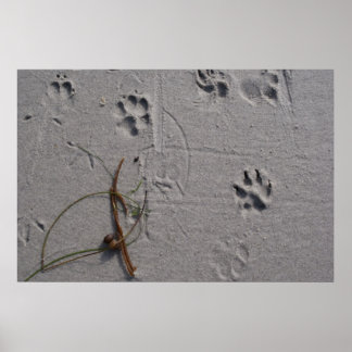 Dog-Day Afternoon Poster