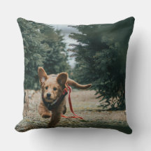 "Dog Days Dreaming"