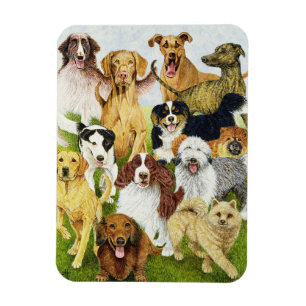 Dog Days Magnet