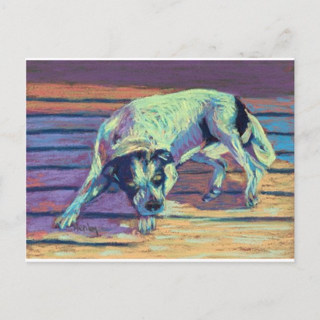 Dog Days Postcard (Front)