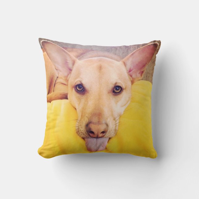 'Dog Daze of Summer' Throw Pillow (Front)