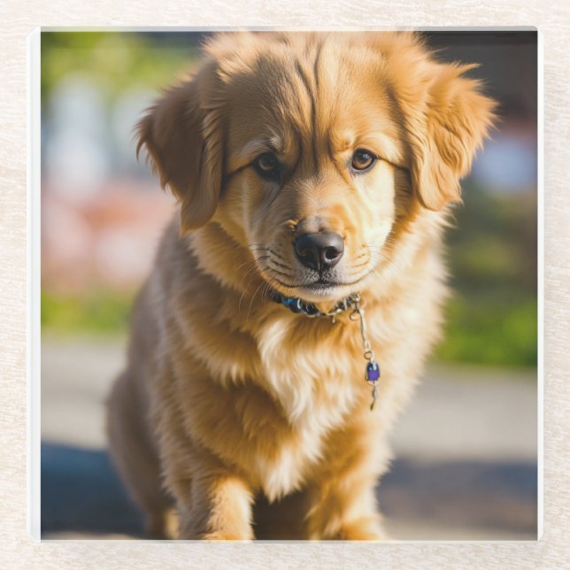 dog decor glass coaster (Front)