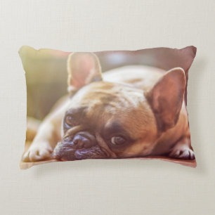 dog decorative cushion