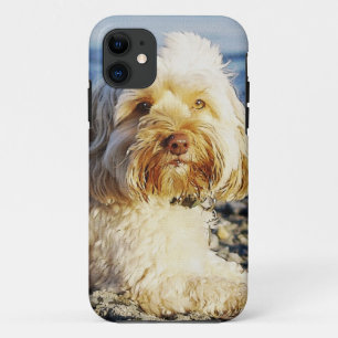 Dog Designs for Pet-lovers iPhone 11 Case