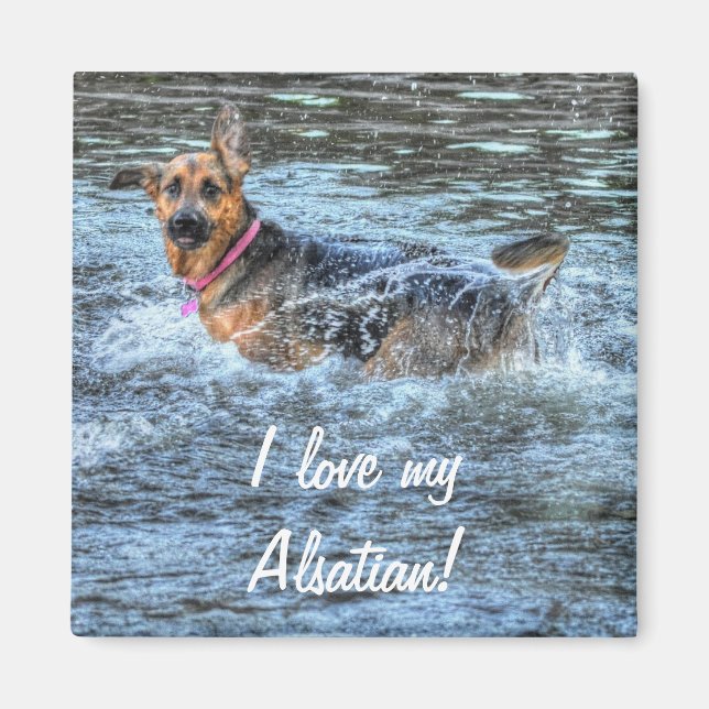 Dog Designs for Pet-lovers Magnet (Front)