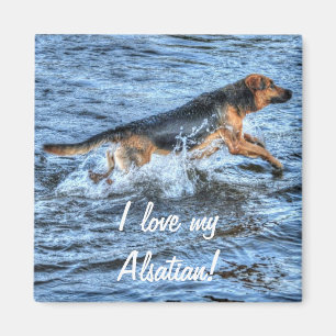 Dog Designs for Pet-lovers Magnet