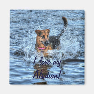 Dog Designs for Pet-lovers Magnet