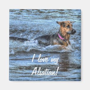 Dog Designs for Pet-lovers Magnet