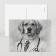 Dog Doctor Portrait Veterinary Postcard