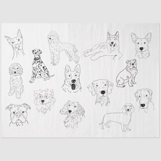 Dog Drawing  Tissue Paper (Front)