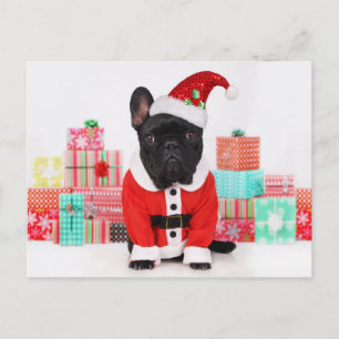 dog dressed as Santa in front of Christmas Holiday Postcard