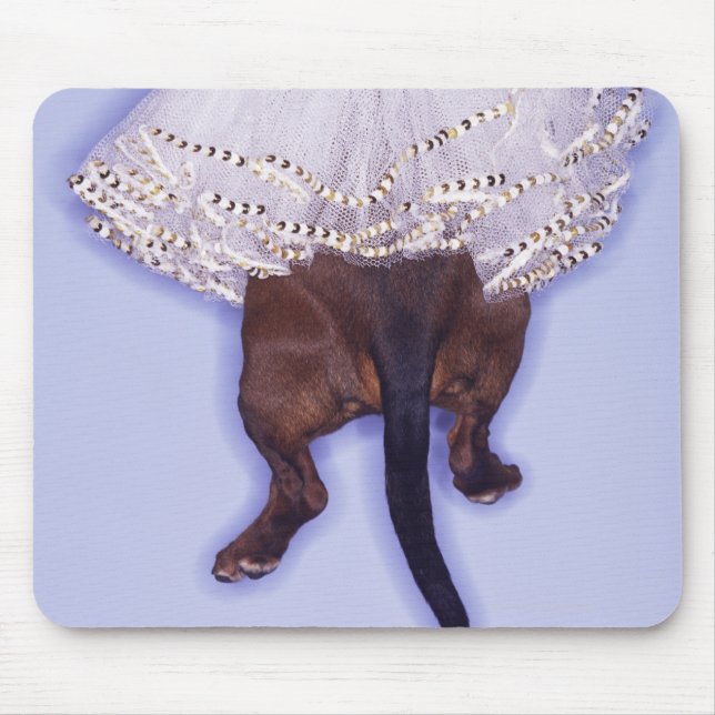 Dog dressed up mouse pad (Front)