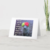 DOG DRESSED UP TO GO CELEBRATE YOUR "30TH" B-DAY