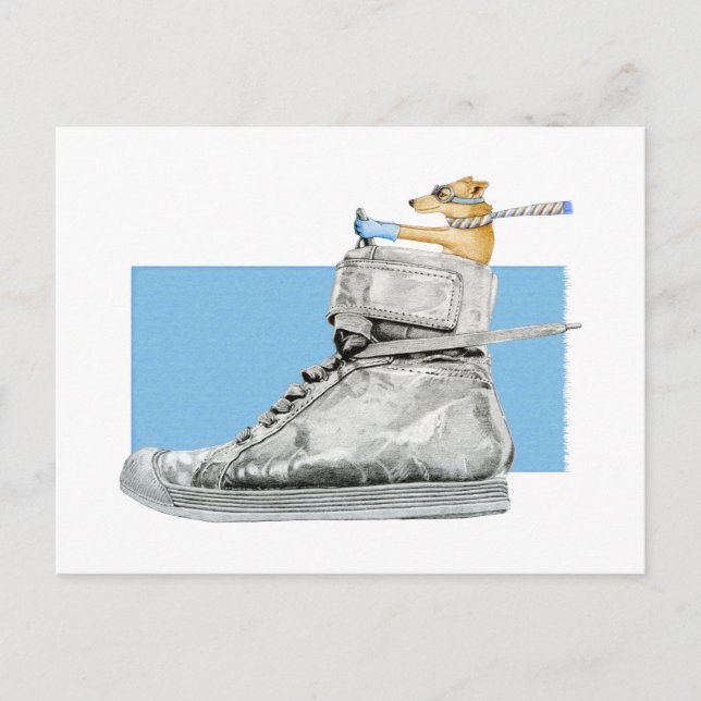 Dog Driving a Shoe Postcard (Front)