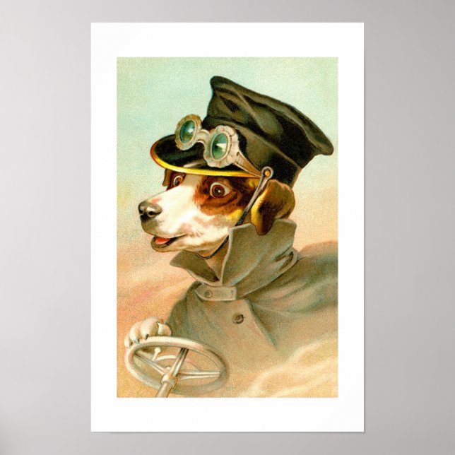 Dog driving poster (Front)