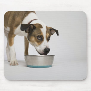 Dog eating from bowl mouse pad