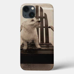 Dog Enjoying the Beach iPhone 13 Case