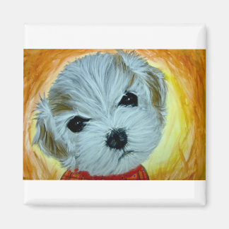 dog face maltese watercolor magnet