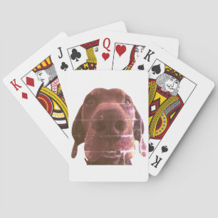 dog face playing cards