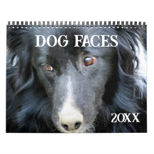 Dog Faces And Expressions Calendar