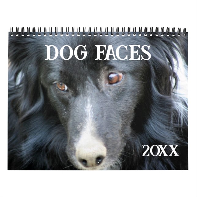Dog Faces And Expressions Calendar (Cover)