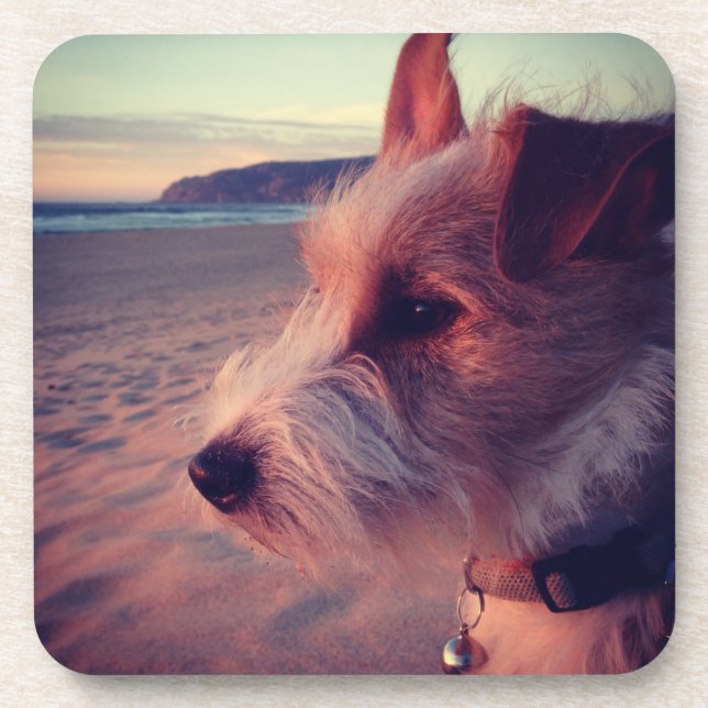 Dog Facing The Beach Coaster (Front)
