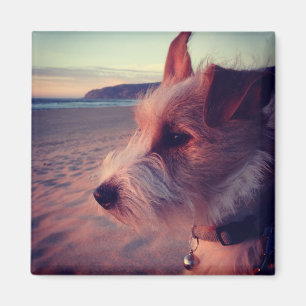 Dog Facing The Beach Magnet