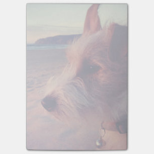 Dog Facing The Beach Post-it Notes