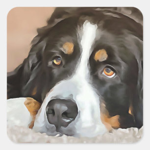 Dog, Female dog, Bernese mountain dog Square Sticker
