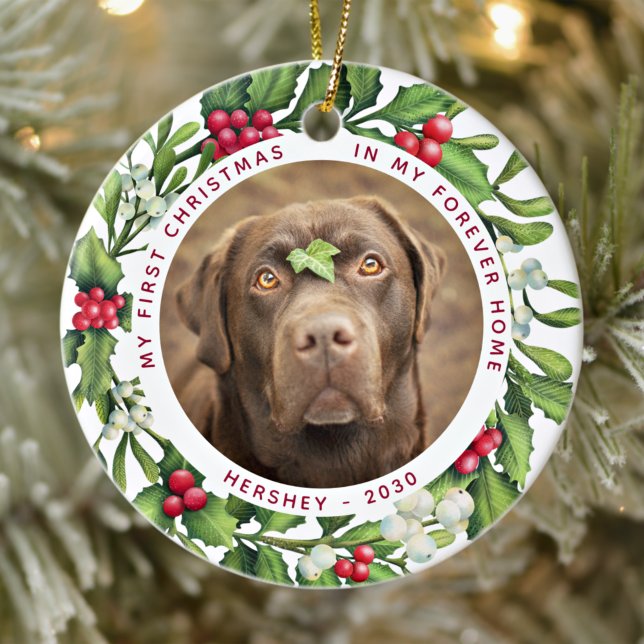 Dog First Christmas Forever Home 2 Photo Mistletoe Ceramic Ornament (Creator Uploaded)