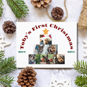 Dog First Christmas Photo Tree, Pet, Personalised Holiday Postcard