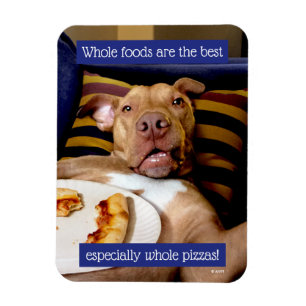 Dog Full Of Pizza Magnet