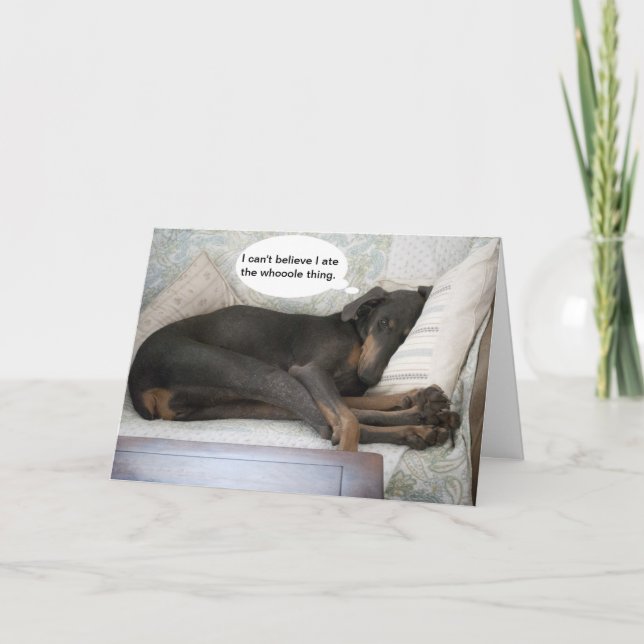 Dog funny get well card (Front)