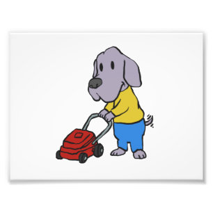 Dog gardener with lawn mower   choose back colour photo print