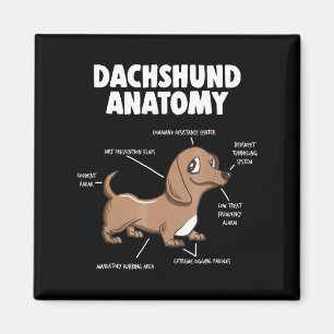 Dog Gift   Anatomy Dachshund  Funny Weiner Magnet